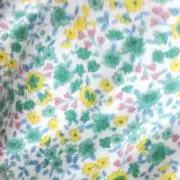 Hana☆プロフ必読の画像