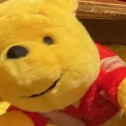 サウの画像