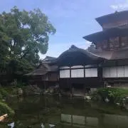 Nhykgの画像