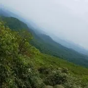 Torresの画像