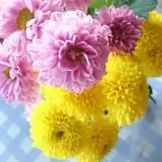 奏