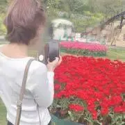 akinaの画像