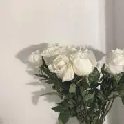 cの画像