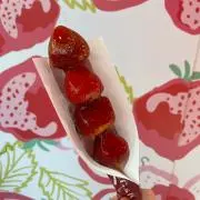 みぃこの画像