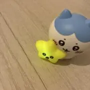 Shiiの画像
