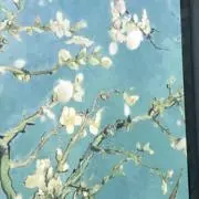 minziの画像