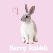 BerryRabbit shop✩.*˚の画像