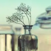 プリパラ キャラクタースリーブ 3種セット 未開封 46-EY1121-19C