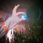 かめの画像