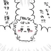 ドールの画像