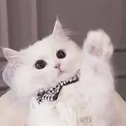 あまね