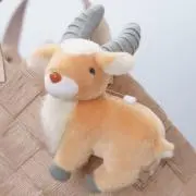 なつの画像