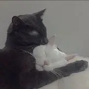 Naoの画像