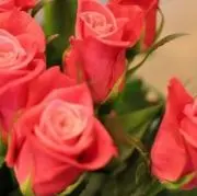 なぁさん【購入前にコメントお願いします】の画像