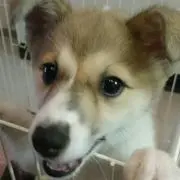 ALSOK防犯カメラセット ケーブル39m2本付き - メルカリ