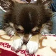 ひろココ♡