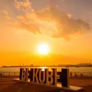 ★匿名配送★AK26の画像