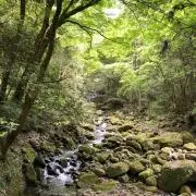 Seragiの画像