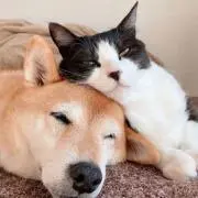 ❀マコ❀の画像