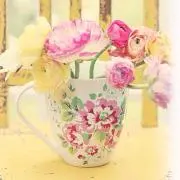 ココ