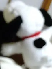 ざさの