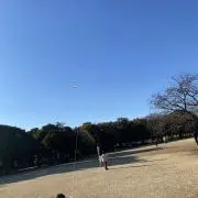 こまこまの画像