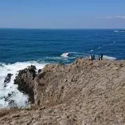 コンチェ