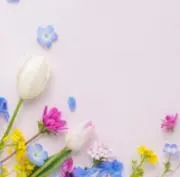 ciaoの画像