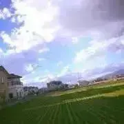 0527 (⚠️プロフ必読⚠️)の画像