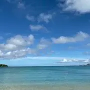 しんたまの画像