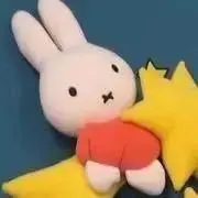 セイリン⭐︎まとめ買い歓迎⭐︎の画像