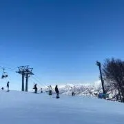 あの画像