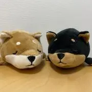 shibakens