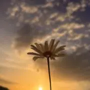 みぃるの画像