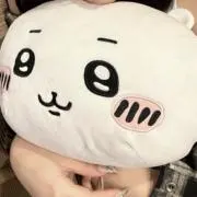 ちゃの画像