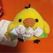 ピヨ子