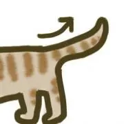 しっぽ
