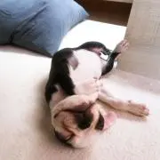 まさ