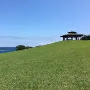 harioの画像