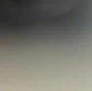 しゅ