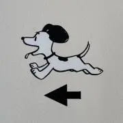 おもちの画像