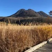 ズカシヨの画像