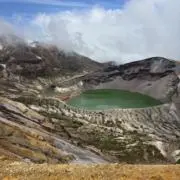 ヌーノの画像