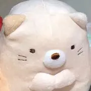 てんとうむしの画像