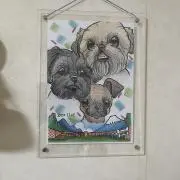 かーたん