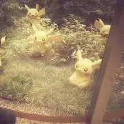 佐々木ひよの画像