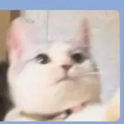 Siruririの画像