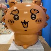 momoの画像