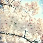 エリⓜ/プロフ一読推奨の画像