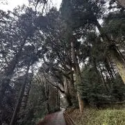 Rの画像